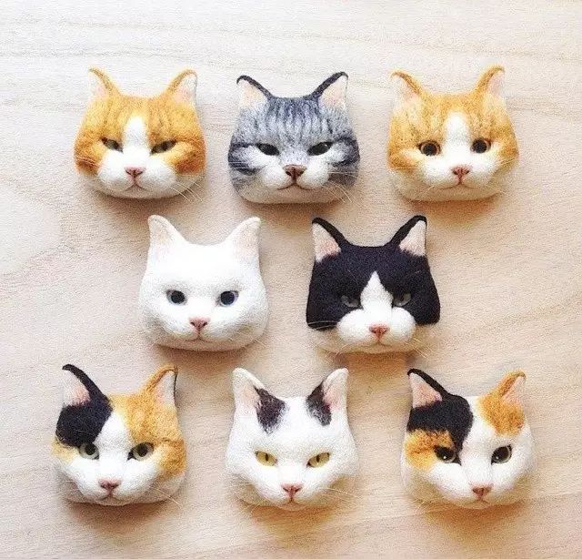 猫大便干结是什么原因：解析与对策